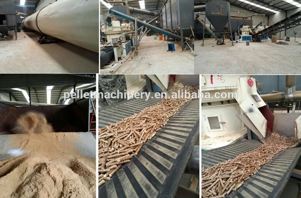 YGKJ560 Hot Sale Wood Pellet Mill for Making Biomass Pellet