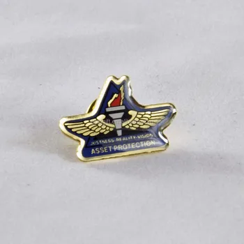 Asset Protection Logo Pin - Buy Asset Protection Uniform Logo Badge ...