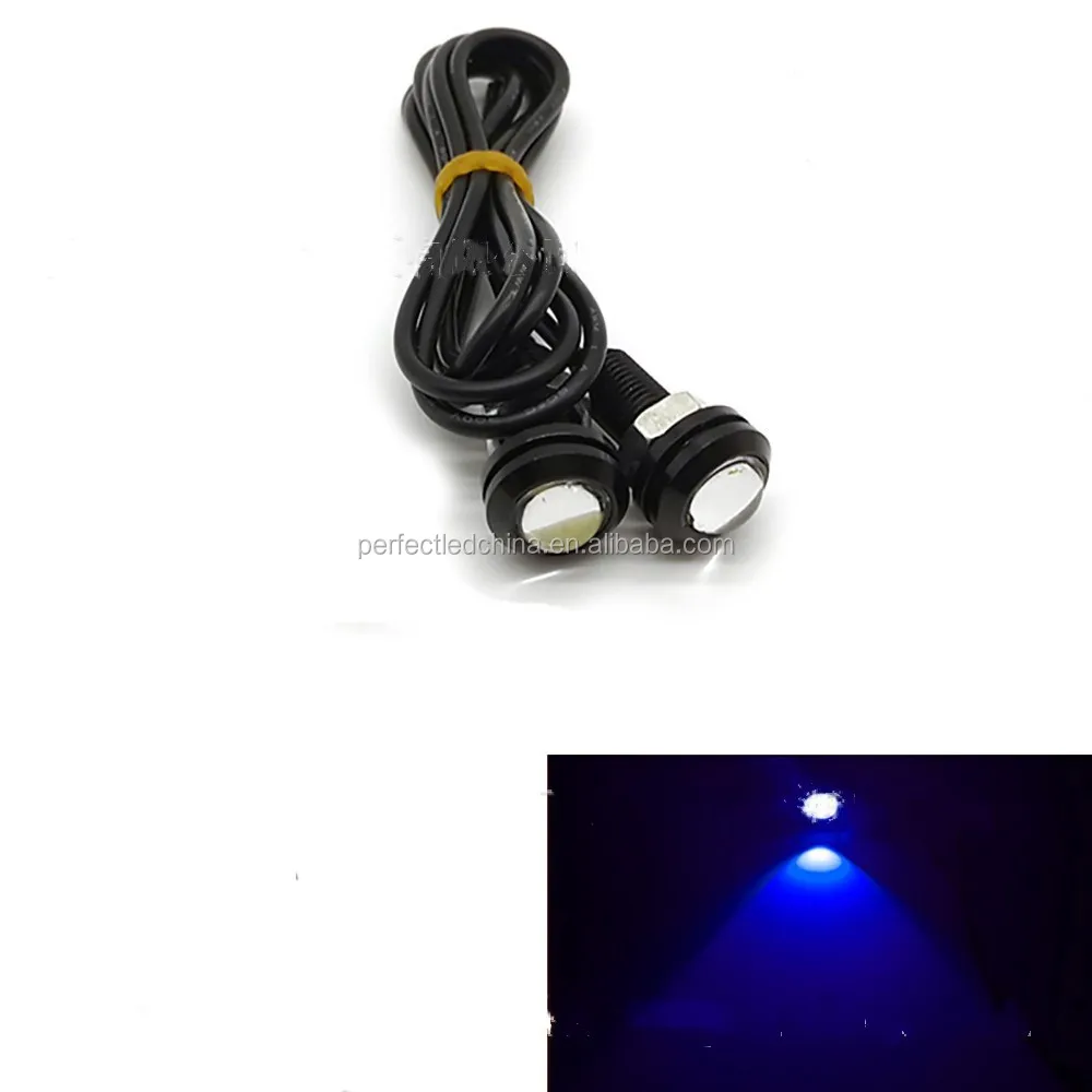 4326730299_1421004774.jpg