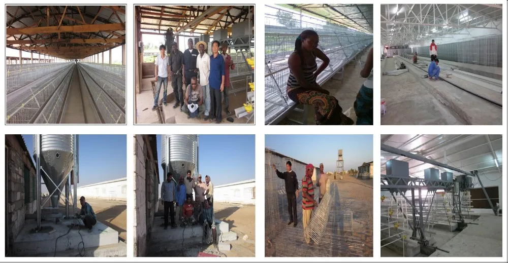 broiler battery cage system made in china for chicken pouultry farm