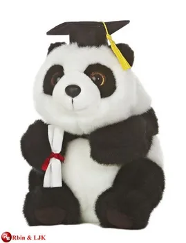 customized graduation bear