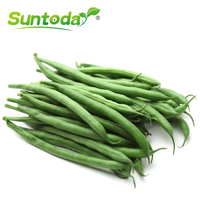 long green cowpea asparagus vegetable long yard bean seeds