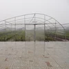 commercial industrial galvanized steel pipe for greenhouse frame