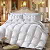 5 Star Hotel Luxury 100% Cotton Down Proof Shell 350gsm 50% goose down 50% feather white duvet hotel down quilt