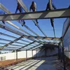 poultry building / poultry house