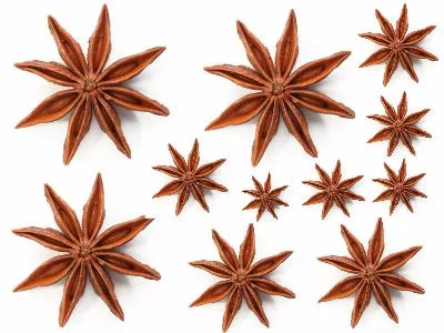 8007-70-3 star aniseed oil anise oil