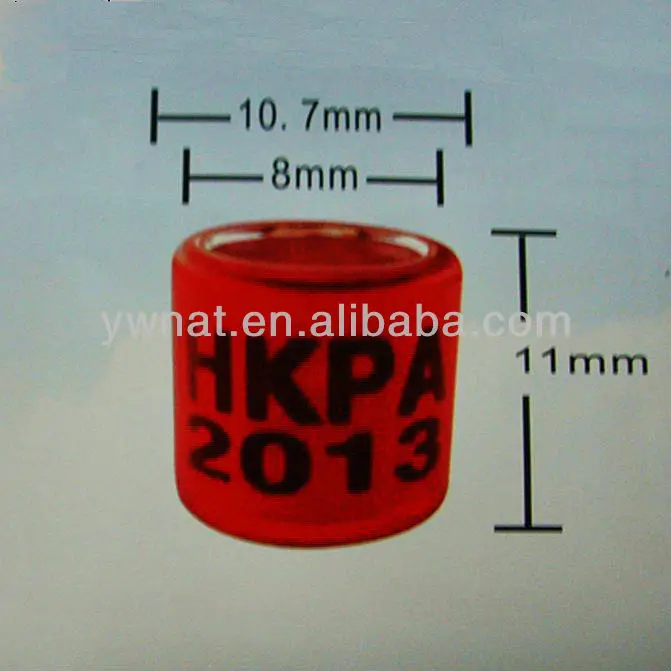 YZ-003_.jpg
