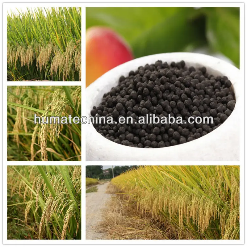 UREA HUMATE FOR RICE 