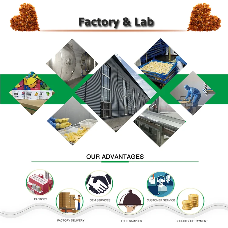 Low price wholesale sultana golden raisins dried jumbo raisin