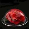 Transparentacrylic half ball and acrylic half round ball,Half sphere with edge and acrylic cover