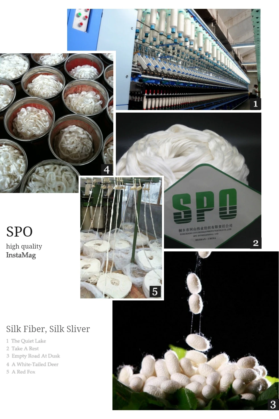 China 100 Wholesale Silk Fiber,Muga Silk Fiber With Silkworm Cocoon