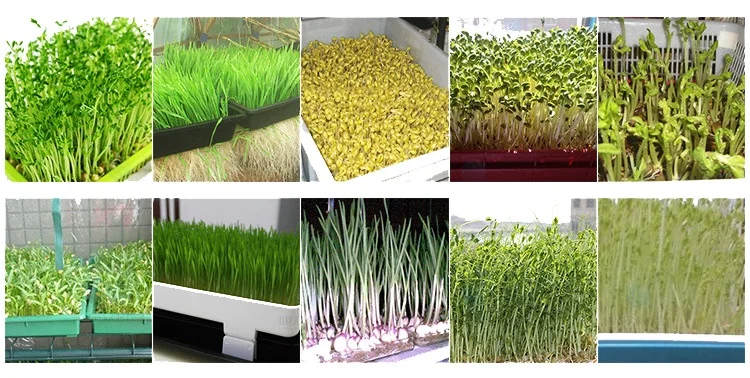 fodder hydroponics system.jpg