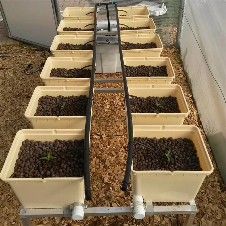 bato bucket hydroponics system