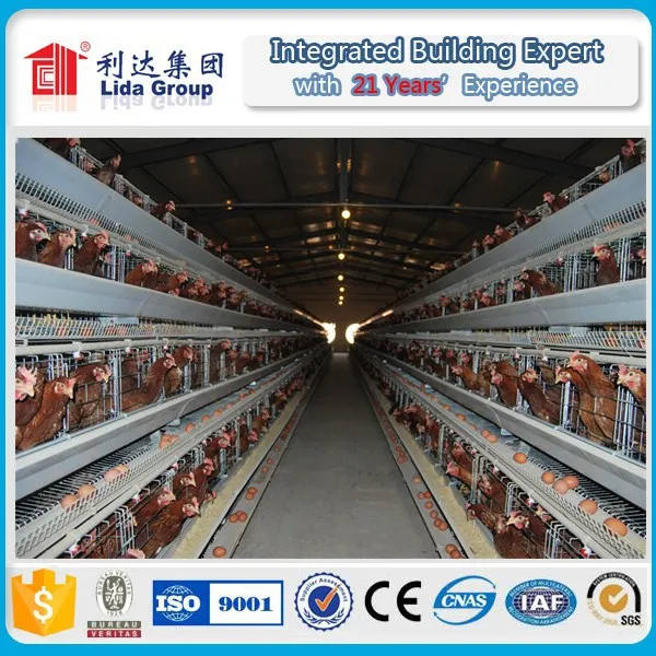 Cheap layer egg chicken cage / poultry farm house design for sale