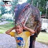 walking realistic dinosaur costume for two adults wearing