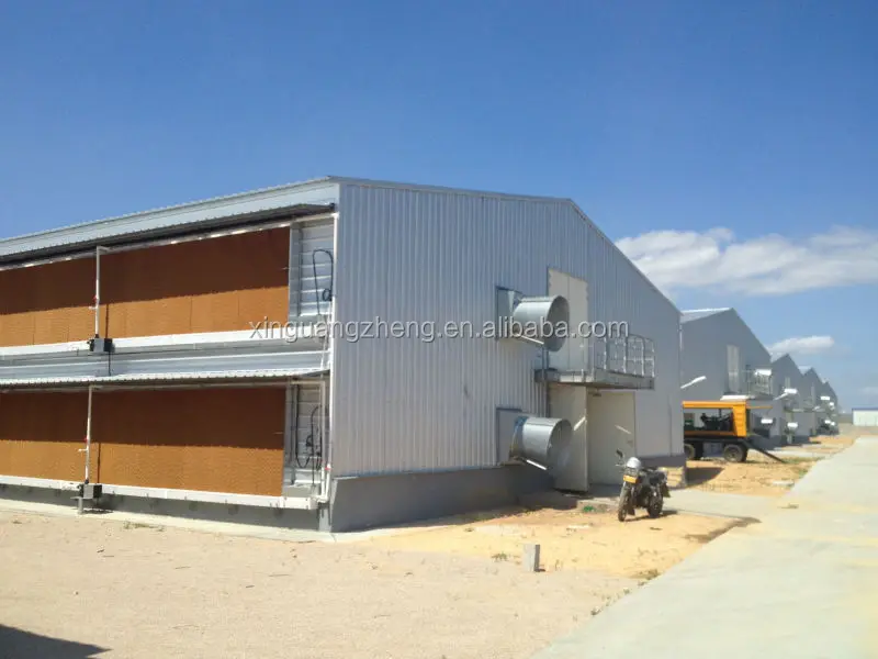 Prefabricated Light Steel Structure Poultry Farm Shed ...