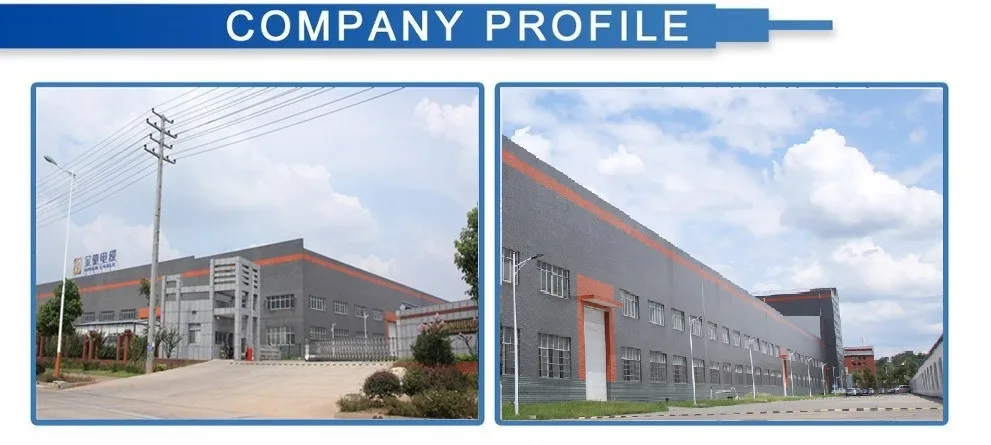 Company profile.jpg