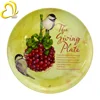 Applique Melamine japanese sushi Cheap Plates Sets