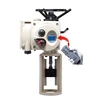 Both Remote Local Control 380v 220v Electric Linear Valve Actuator