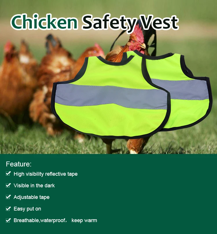 Safety vests for chickens tips bermain forex