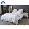 /product-detail/hotel-white-100-cotton-fabric-microfiber-polyester-fiber-filling-quilt-60761722574.html
