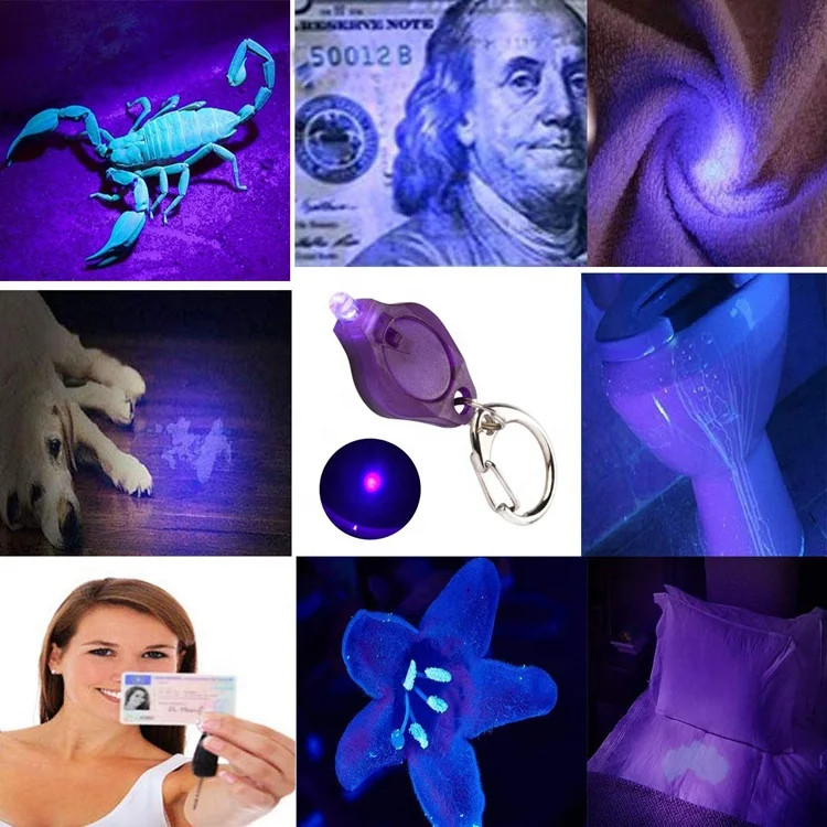 keyring uv torch (7)