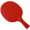 Table Tennis Racket Professional