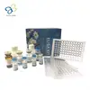Human Pregnancy zone protein,PZP Elisa Kit