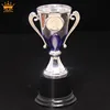 The most popular design cheap small fancy trophies small trophy cups