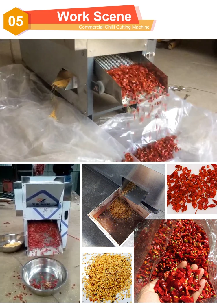 Chilli Seeds Removing Machine/dry Pepper Seed Separating Machine/pepper