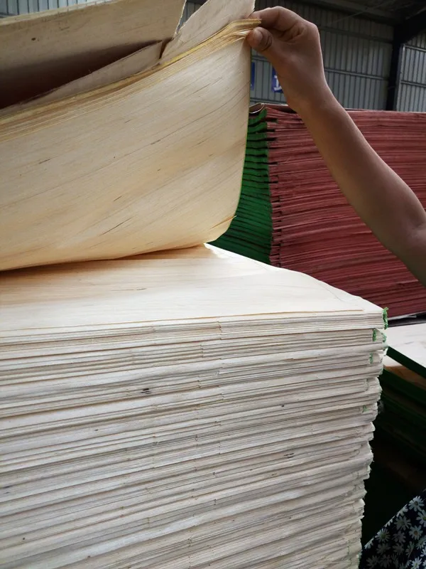 gurjan face veneer/3