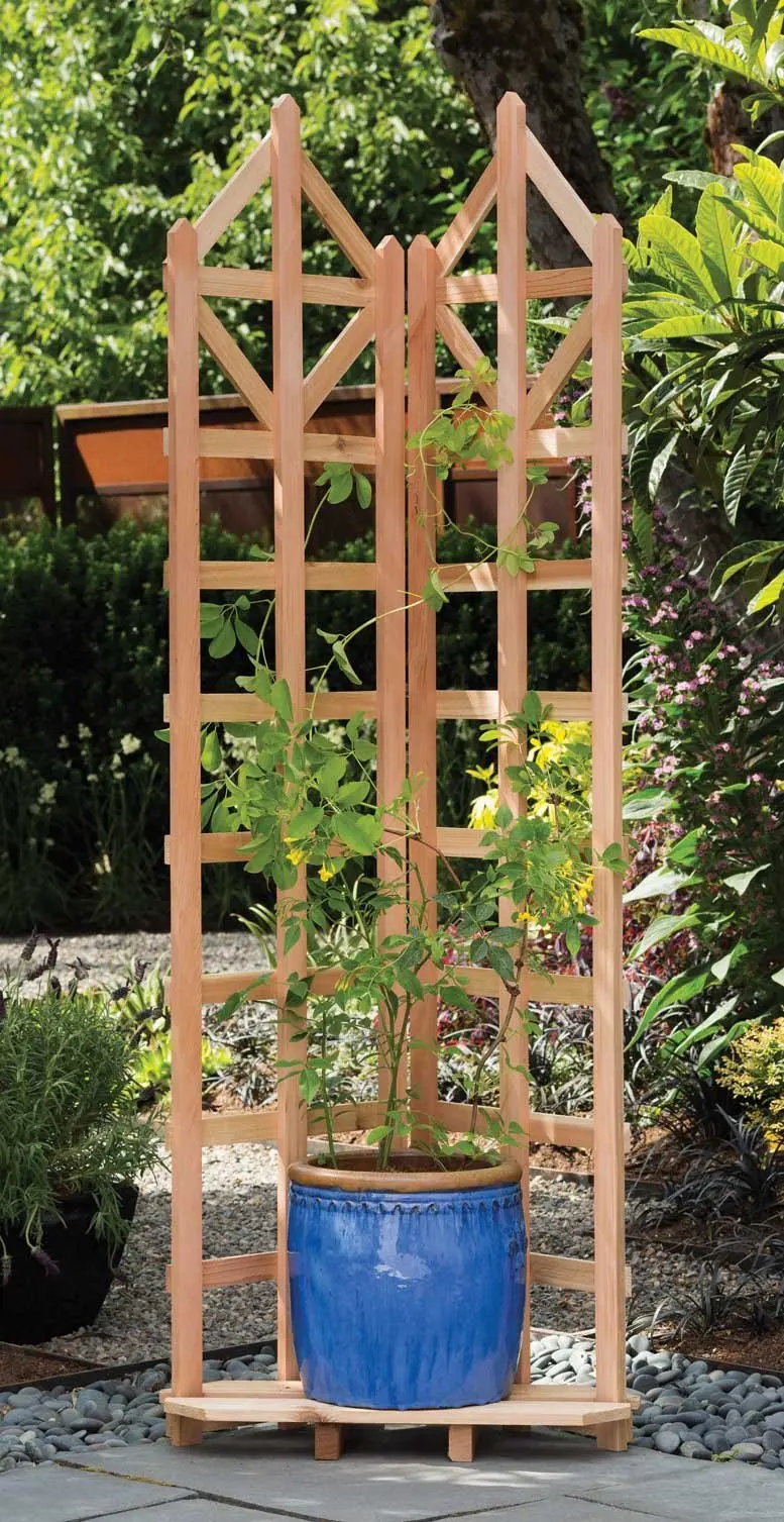 Cheap Trellis Cedar, find Trellis Cedar deals on line at
