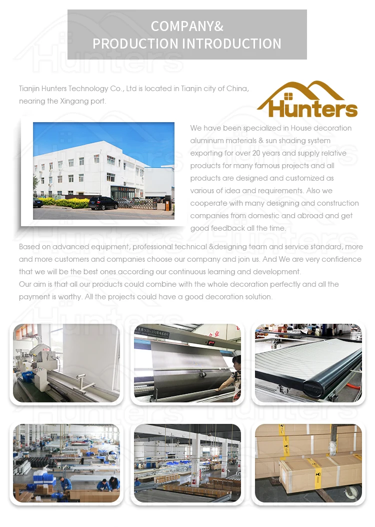 Motorized roof awning 11