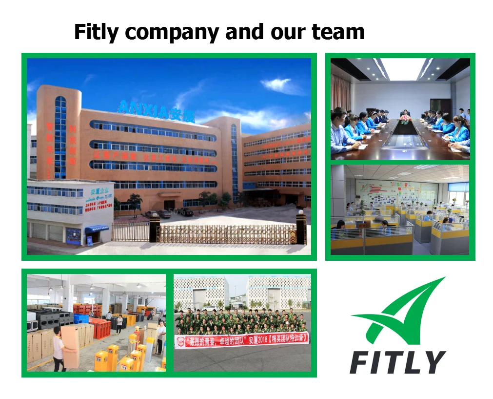 Fily company 1.jpg