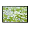 10" ips tft lcd panel all viewing angle LVDS interface monitor lcd screen