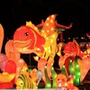 OAL6495 Flower Theme Color Hanging Lanterns