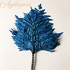 preserved flower dried natural leaf Alpine Fern leaves The fern flowers