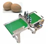 Factory direct supply material/ bottle date / egg inkjet printer