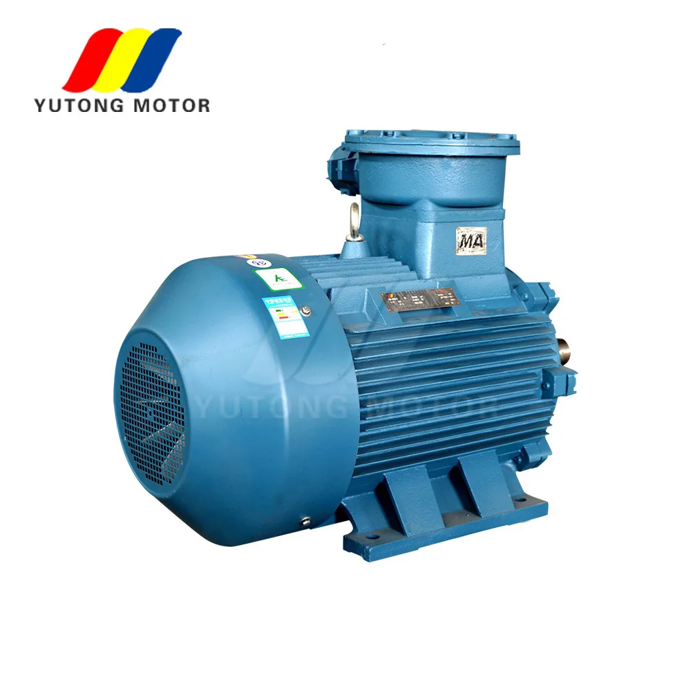 induction motor pump