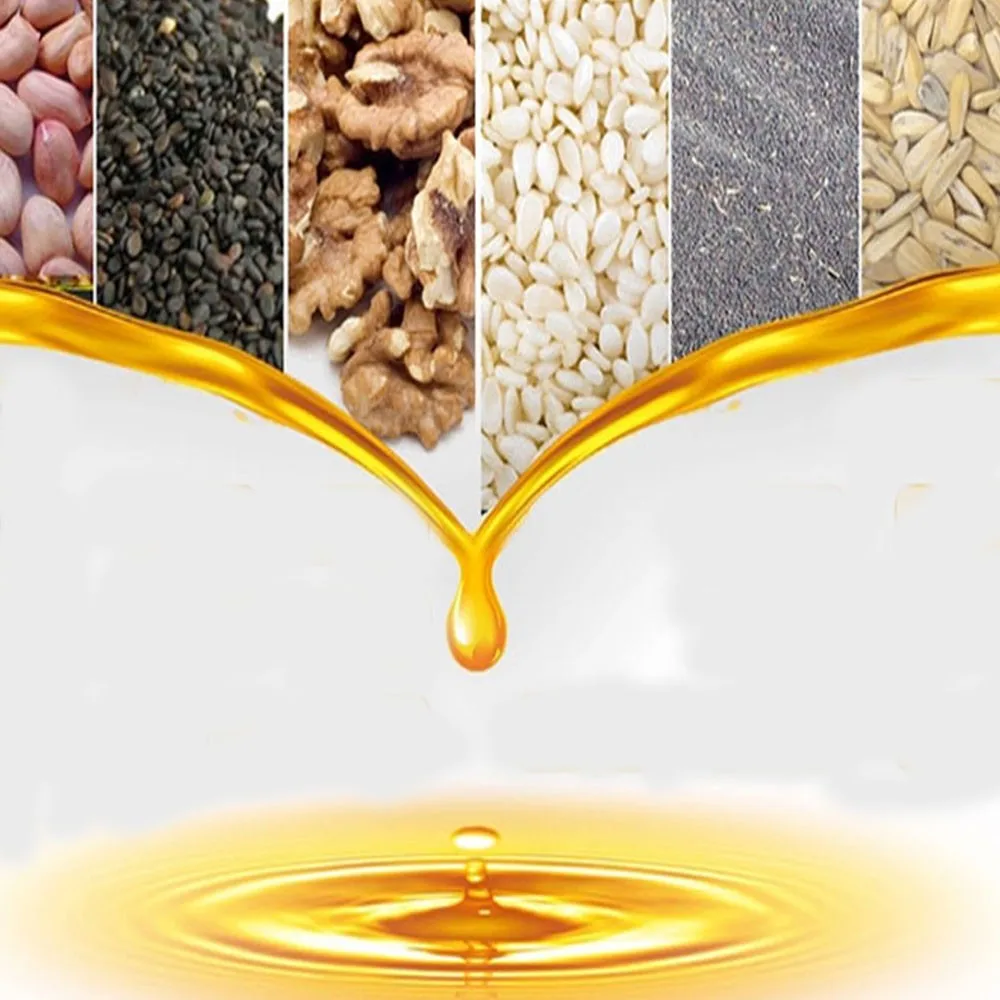 全自动种子榨油机/家用榨油机/冷榨葵花籽油