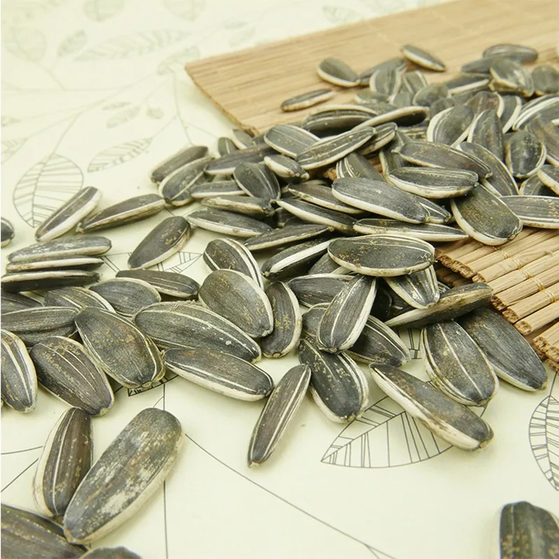 Cheapest Sunflower seeds striped white and black flower seeds 5009