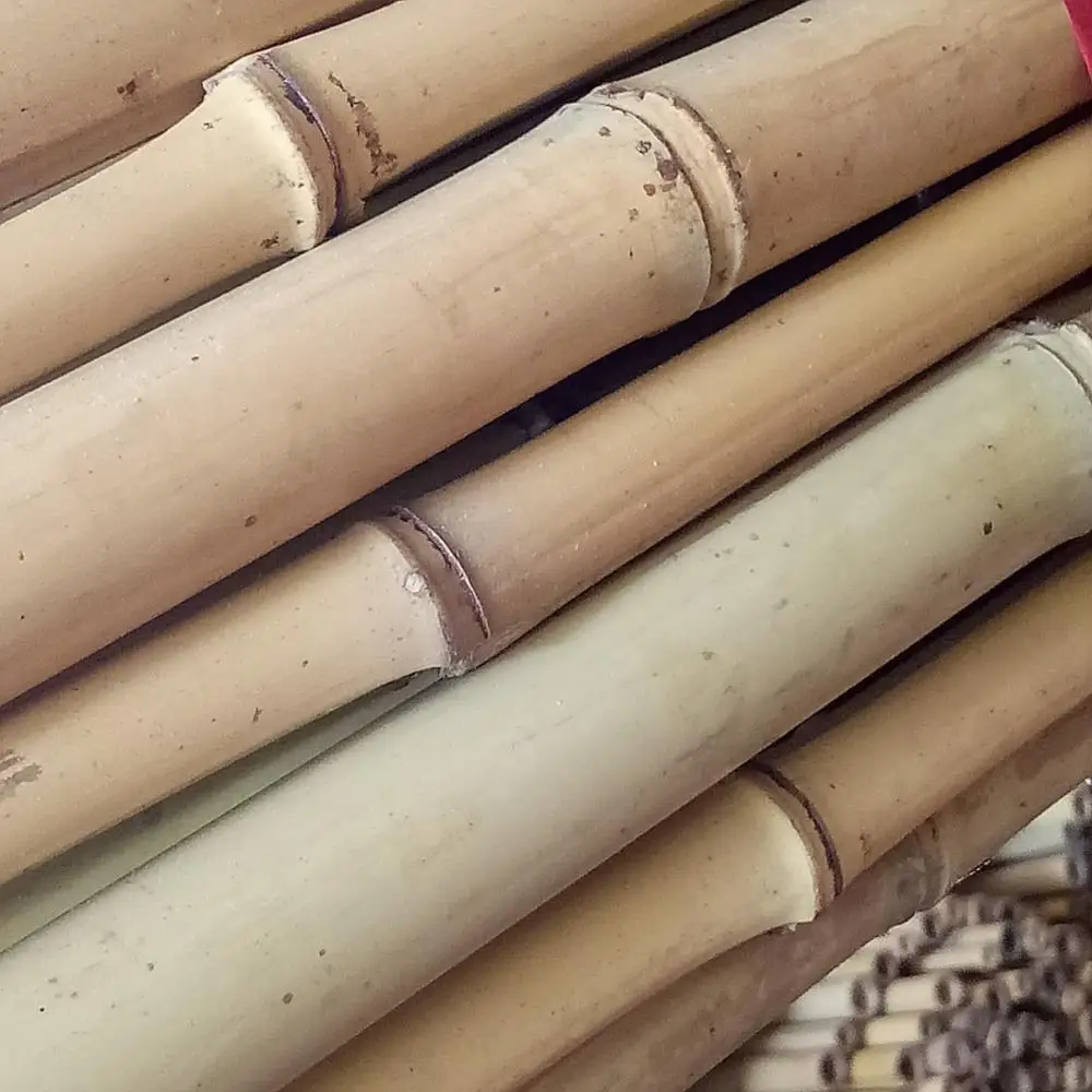 Wy078 2017 Natural Straight Bamboo Poles Bamboo Stakes Bamboo Canes Buy Natural Straight