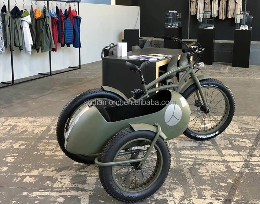 e bike with sidecar