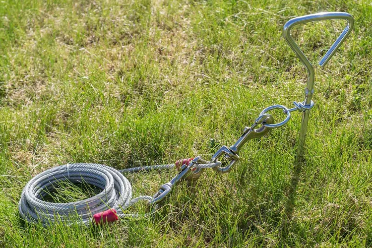 Freedom Beast Pet Dog Strongest Tie Out Cable Dog Leads,Large Dogs Tie