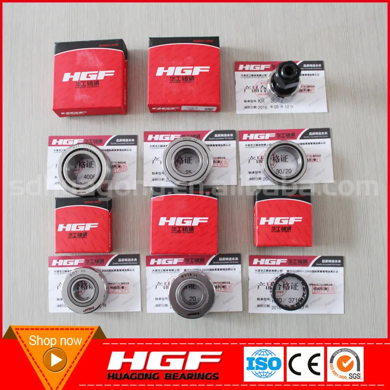 IKO INA Needle roller bearing 49