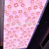 digital printable pvc stretch ceiling film,decorative stretch ceiling film,film stretched ceiling