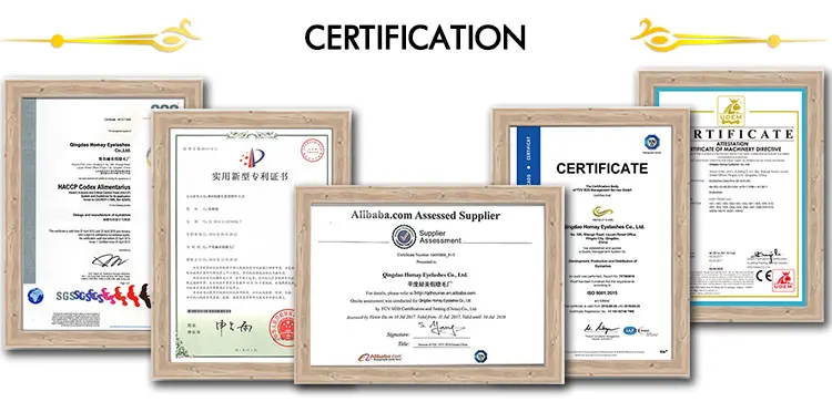 certification.jpg