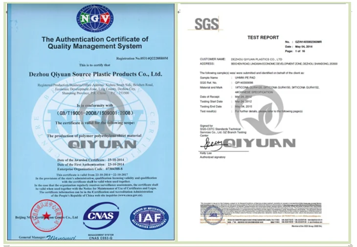 paste-pic-dp_uuid_8m2tg