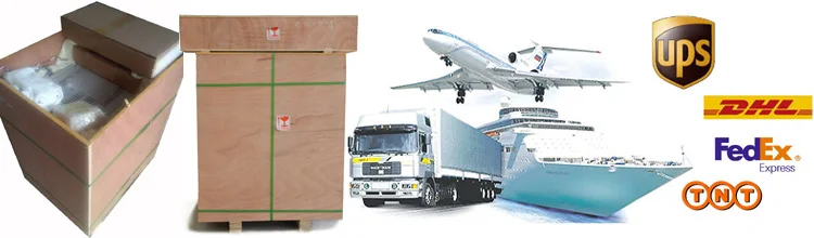 1700 Degree S/B Type Thermocouple Temperature Sensor for High Temperature Electric Muffle Furnace