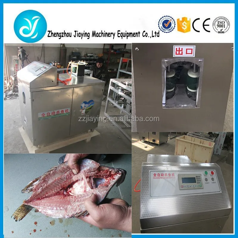 Stainless Steel Automatic Fish Descaler Fish Killing Machine - Buy ...